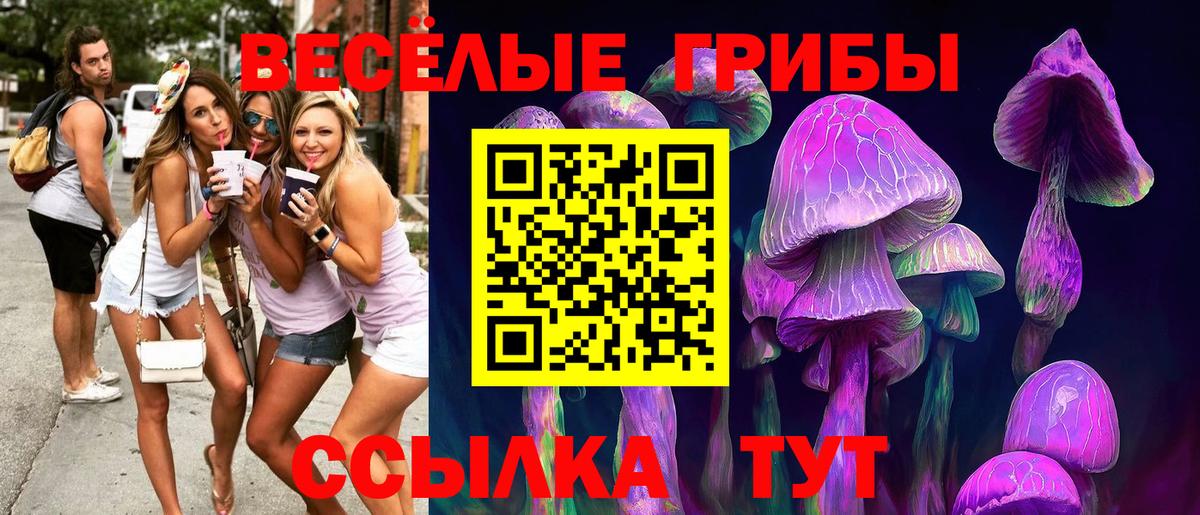 Псилоцибиновые грибы мицелий Татарск